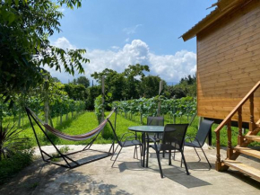 Orion Cottage